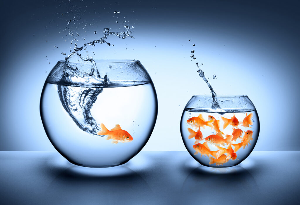 Goldfish bowls on The Memoir Writing Workbook page