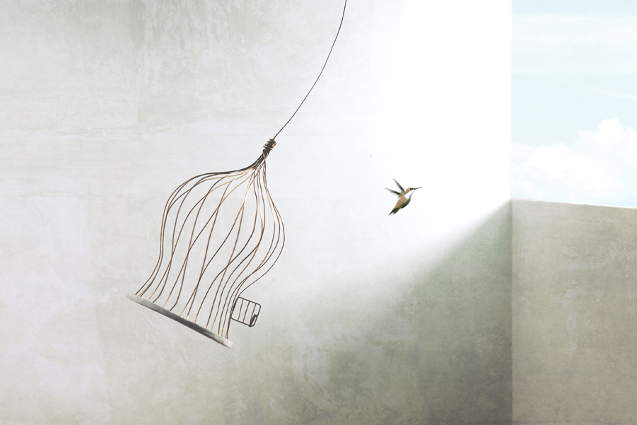A hummingbird flying free from an open birdcage towards the light