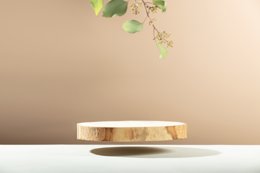 Point of View Course: a slice of wood floating above a podium, with eucalyptus leaves