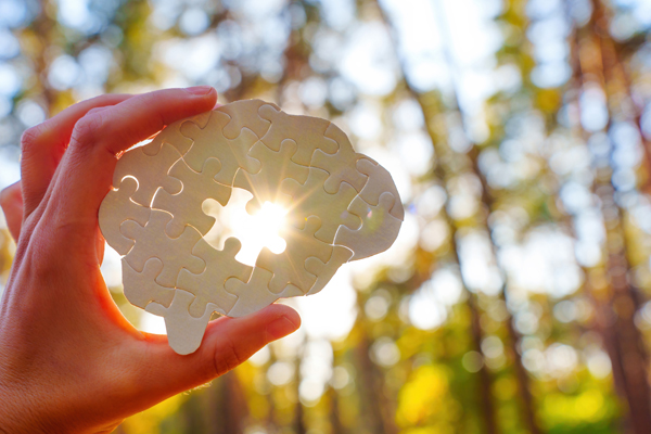 Writing Voice Course: a hand holding a brain-shaped puzzle piece in sunlight